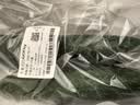 长黄瓜约600g 实拍图