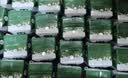 伊利【新鲜日期】金典纯牛奶早餐奶250ml*16盒3.6g 中秋礼品礼盒装 实拍图