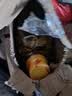 福临门食用油 一级大豆油900ml 小瓶装植物油 中粮出品外卖新客专享 实拍图