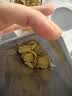 孕味食足山药脆片40g*4袋番茄味 孕妇可吃休闲零食山药脆薄片解馋薯片 实拍图