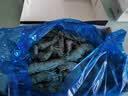 禧美海产鲜冻黑虎虾净重2斤装 规格40-50只/kg 单冻大虾 烧烤 中秋礼盒 实拍图