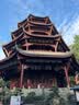 京东绿植七彩香水石斛兰盆栽四季好养花卉绿植 12-15苗配冰裂盆源头直发 实拍图