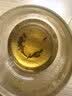 八马茶业金骏眉红茶武夷山特级单芽散茶60g罐装送长辈养生茶饮 实拍图