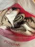 猫人5双装棉袜女士袜子女秋冬季中筒袜休闲清新可爱小熊森林卡通风 实拍图