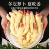 京地达山东带泥红芽嫩姜仔姜净重9斤单果50g+醋泡嫩姜源头直发包邮 实拍图