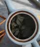 中谷御品茶叶安溪铁观音2026新茶特级高山兰花香型耐泡乌龙茶罐装100g 实拍图