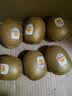 佳沛（zespri）新西兰金奇异果猕猴桃 5粒装 单果约88-103g 水果源头直发 实拍图