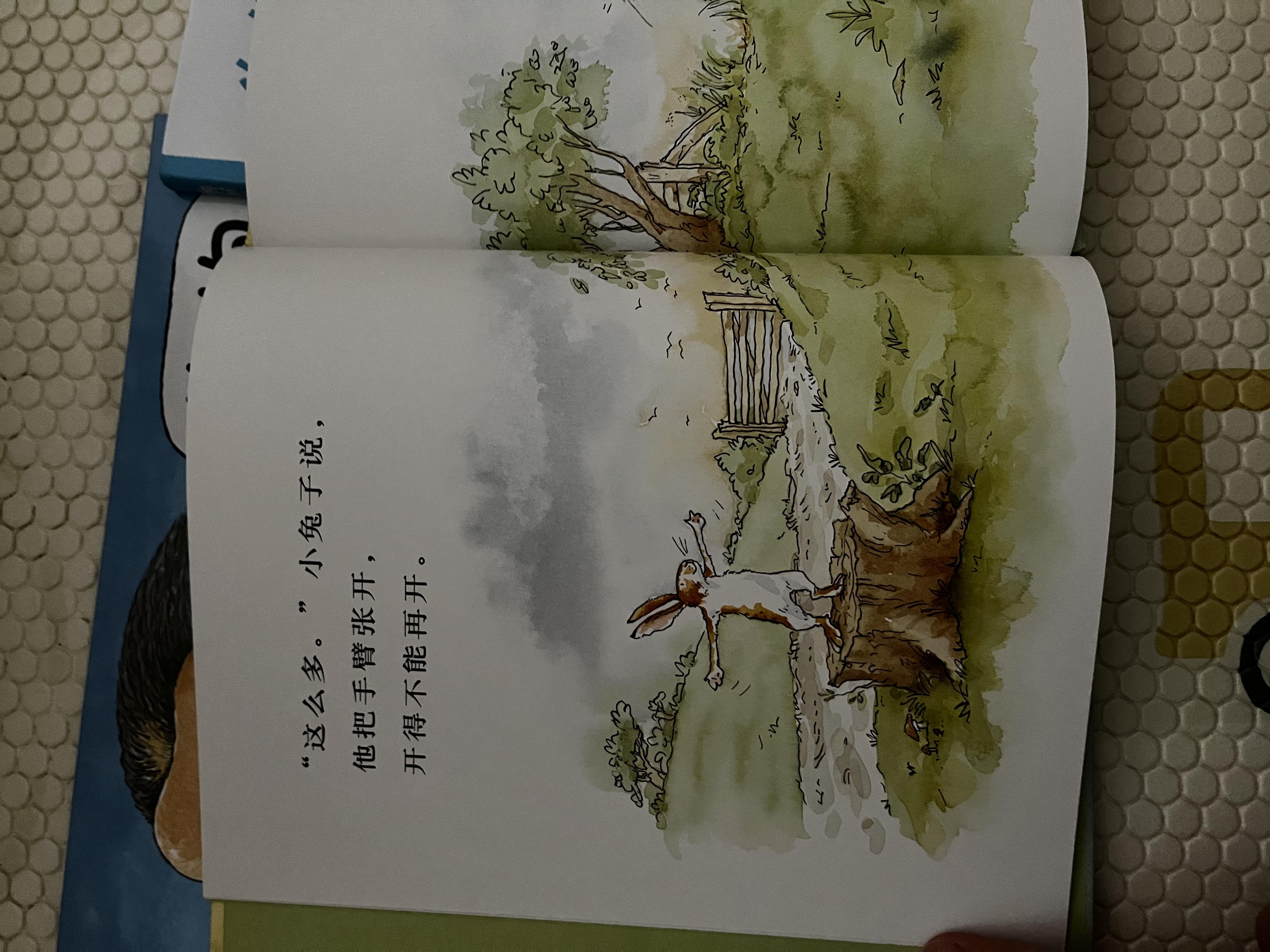 【信谊】抱抱 世界精选图画书 绘本0-3岁 畅销全球亲子读物 故事书  亲情关怀至温暖的图画书 婴幼儿睡前启蒙绘本 儿童故事书 早教启蒙 实拍图