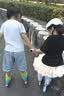 迪士尼（Disney）轮滑鞋儿童3-6-12岁全闪光初学套装溜冰鞋女童旱冰鞋直排滑轮鞋 实拍图