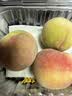 青州冬蜜桃500g 实拍图