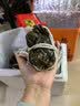 【活蟹】阳澄佳缘大闸蟹 现货鲜活大螃蟹公母蟹 海鲜水产生鲜礼盒 公4.0-4.3两母3.0-3.3两4对8只 实拍图