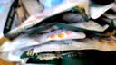 三只松鼠每日坚果孕妇健康混合干果果仁零食礼盒休闲食品节日送礼坚果礼盒 【6种坚果】6+3每日坚果750g/30袋 实拍图