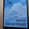 秘密世界（SecretWorld）胸贴女拍婚纱写真专用隐形防凸点乳贴上托夏季芒果杯加厚聚拢文胸 实拍图
