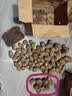 【东东农场专供】新鲜牛奶芋头现挖毛芋头香嫩爽滑奶油芋头小香芋 奶白芋头 9斤 带箱 中大果 实拍图