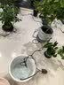 南水灌溉家用室内懒人自动浇花神器办公室绿植智能定时浇水滴灌溉 实拍图