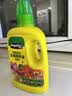 美益棵浓缩营养液通用型600ml月季多肉绿植花卉盆栽园林复合肥料水溶肥 实拍图
