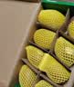 佳沛（zespri）新西兰金奇异果8粒特大果124-146g猕猴桃中秋节礼品送水果礼盒 实拍图