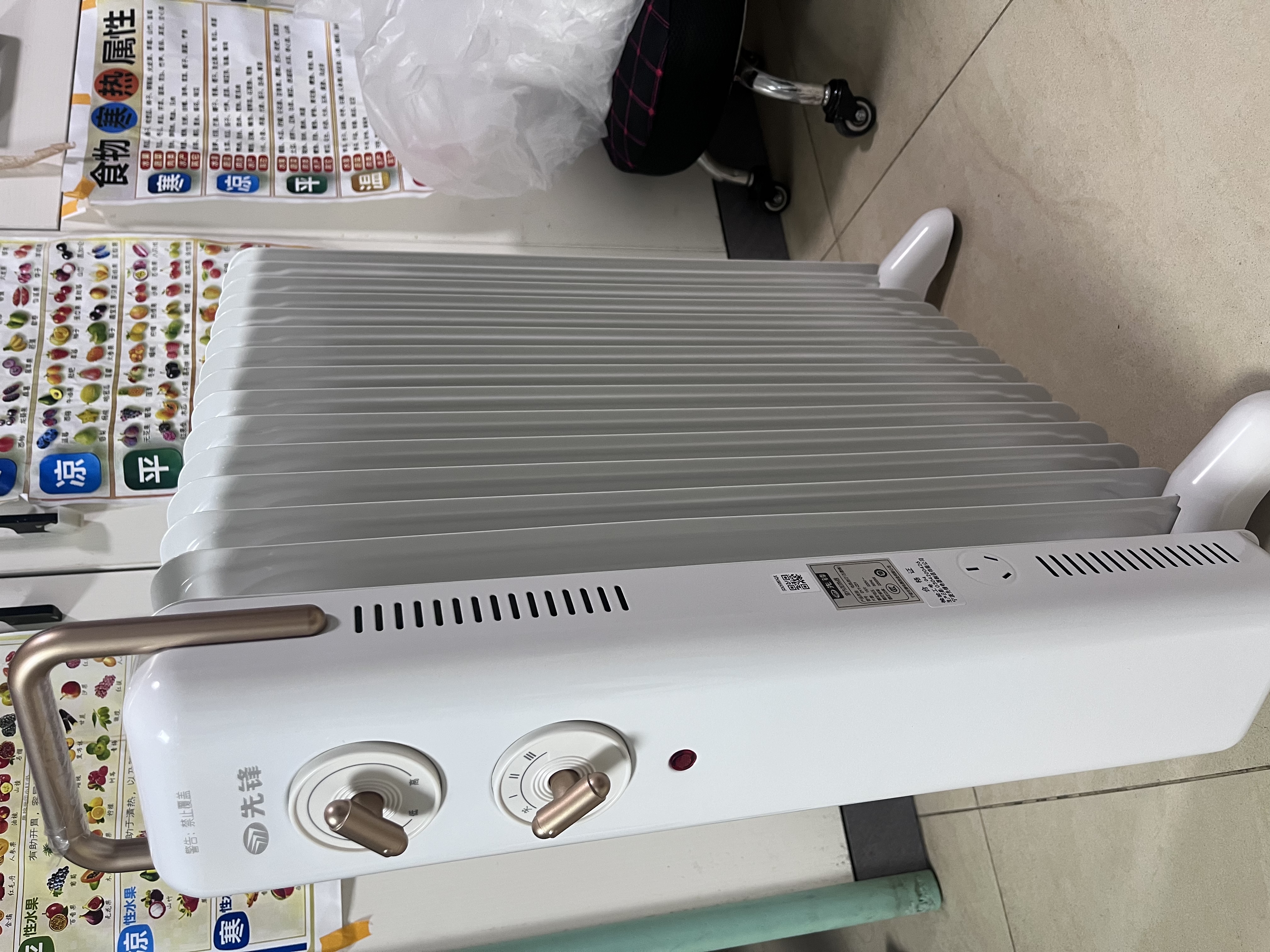 先锋石墨烯电热油汀取暖器电暖器电暖气片家用15片全屋升温智能恒温低噪节能烘衣加湿DYT-Z21 实拍图