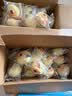 港荣蒸蛋糕奶香味900g+鸡蛋900g 饼干蛋糕软面包零食甜品礼品盒物箱 实拍图
