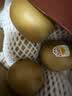 佳沛（zespri）新西兰金奇异果猕猴桃 5粒装 单果约88-103g 水果源头直发 实拍图