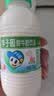 李子园【成毅代言】甜牛奶饮品低脂低糖荔枝味225ml*20瓶整箱营养早餐奶 实拍图