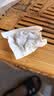 福东海 大麦茶250克【特级】苦荞麦芽茶天然麦香 大餐解腻麦茶 独立袋装 实拍图