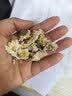 福东海 贡菊60g 安徽黄山白菊花 可搭玫瑰枸杞泡水喝的花草茶养生茶叶   实拍图