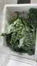 新鲜羽衣甘蓝生鲜蔬菜嫩叶云南甘兰芥蓝西餐沙拉榨汁减脂直播间 羽衣甘蓝轻食3斤净重 实拍图