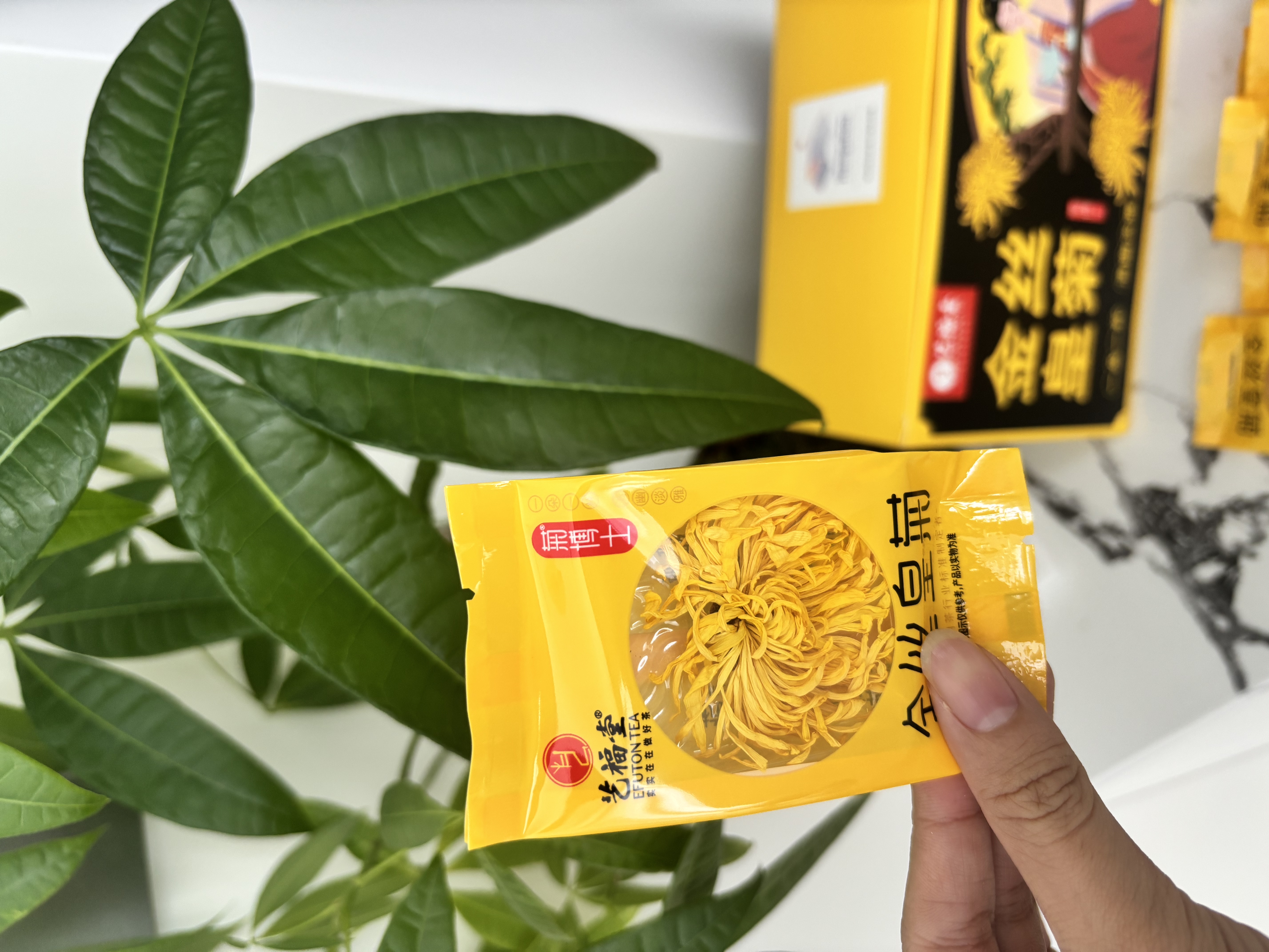 艺福堂菊花茶精品金丝皇菊头采大朵36朵安徽黄山原产独立包养生搭金银花 实拍图