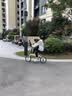 大行（DAHON）KT610 白色 折叠自行车16英寸YUKI超轻迷你便携男女式通勤单车 实拍图