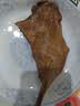 格兰仕（Galanz）微波炉烤箱一体机 家用小型20升 光波平板加热 双旋钮简易烧烤光波炉 易清洁XB2 ZSW0同款 实拍图