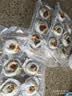 獐子岛 冷冻蒜蓉粉丝扇贝600g 18只 烧烤食材 海鲜生鲜水产预制菜 实拍图