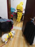 阿莫尔网红猫咪衣服秋冬季搞怪狗狗衣服可爱搞笑小型猫犬四脚衣连帽泰迪 皮卡丘变身装 XS(建议1-3斤具体参考胸围背长) 实拍图