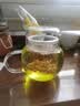 南同四海正宗黄苦荞茶特级荞麦茶2026年新桶装搭三糖血高减四川大凉山肥降 实拍图