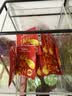 立顿组合茶包红茶绿茶茉莉花茶乌龙茶叶6种口味80包153g盒装 实拍图