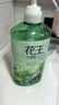 花王（KAO）洗发水750ml 薄荷洗头水冰爽控油蓬松止痒去油男女士洗发露洗发液 实拍图
