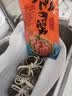 【活蟹】蟹宗现货鲜活大闸蟹全母2.8-3.1两10只生鲜螃蟹海鲜水产中秋节礼品源头直发 实拍图