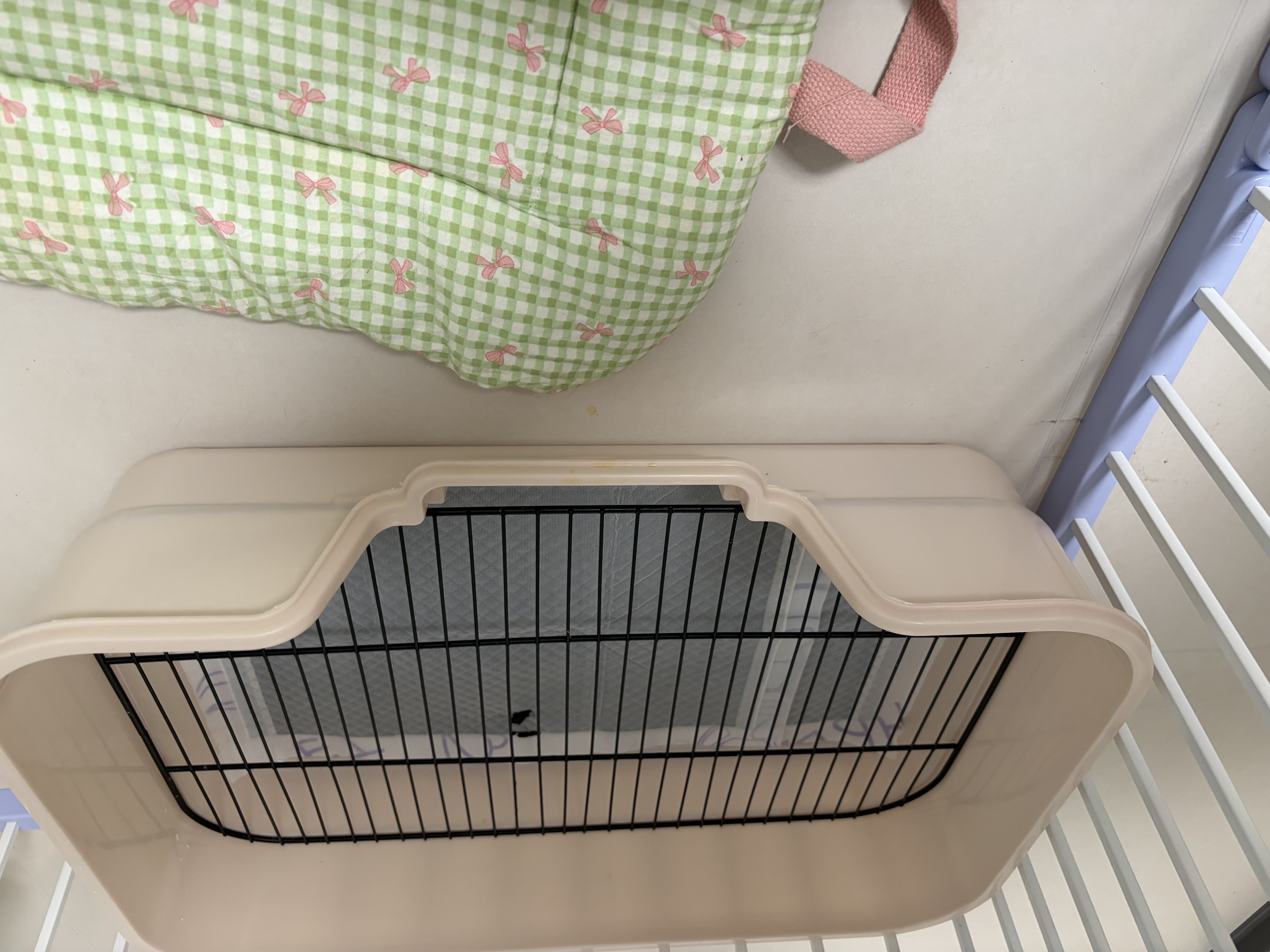 HELLOJOY狗厕所中型小型犬专用防踩屎便盆尿尿盆非不锈钢大小便神器狗砂盆 实拍图