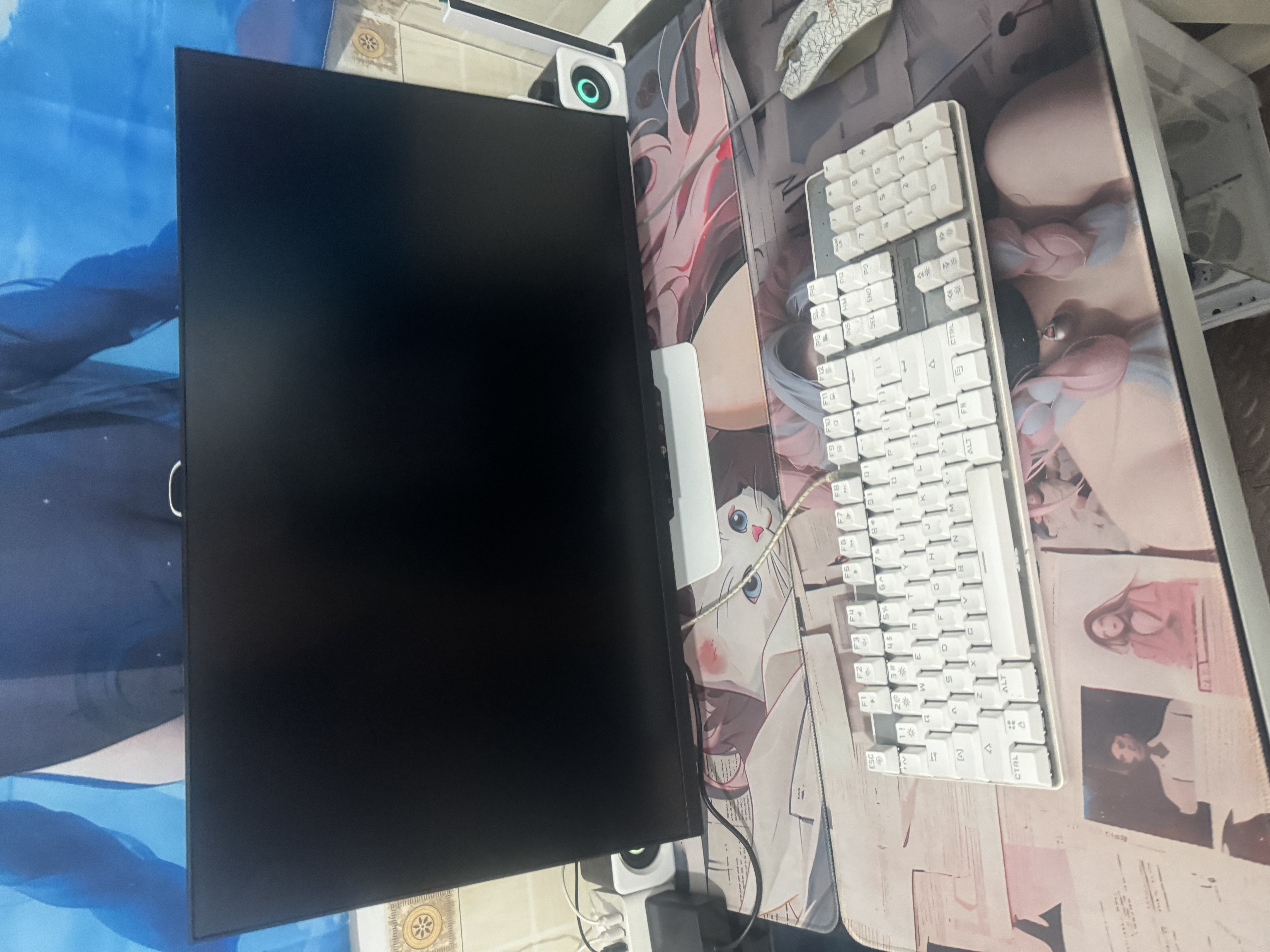 微星品牌游戏主机 酷睿i5 12600KF/14600KF/RTX4060/5060/5060TI海景房主机DIY台式电脑整机组装电脑 配五加强 i5-14490F丨RTX5060TI 实拍图