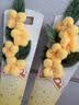 京东鲜花毛绒桂花单支礼物活动伴手礼手工花束小众有纪念意义 实拍图