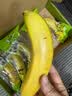 都乐Dole 菲律宾甜蕉2斤盒装 香甜软糯 生鲜水果 源头直发 包邮 水果 实拍图