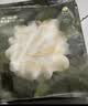 babycare爆款山茶花一次性内裤女士孕产妇XL码15条【安全灭菌】 实拍图