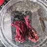 南京同仁堂洛神花茶云南特级玫瑰茄干花无硫女神美容养颜女生人夏季凉茶泡水 实拍图