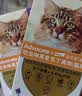 爱沃克宠物驱虫药内外同驱耳螨跳蚤蛔虫4~8kg大猫0.8ml*3支德国进口原研 实拍图