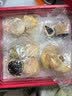 北京稻香村老北京糕点礼盒1550g 休闲零食下午茶 三禾点心特产中秋节日送礼 实拍图