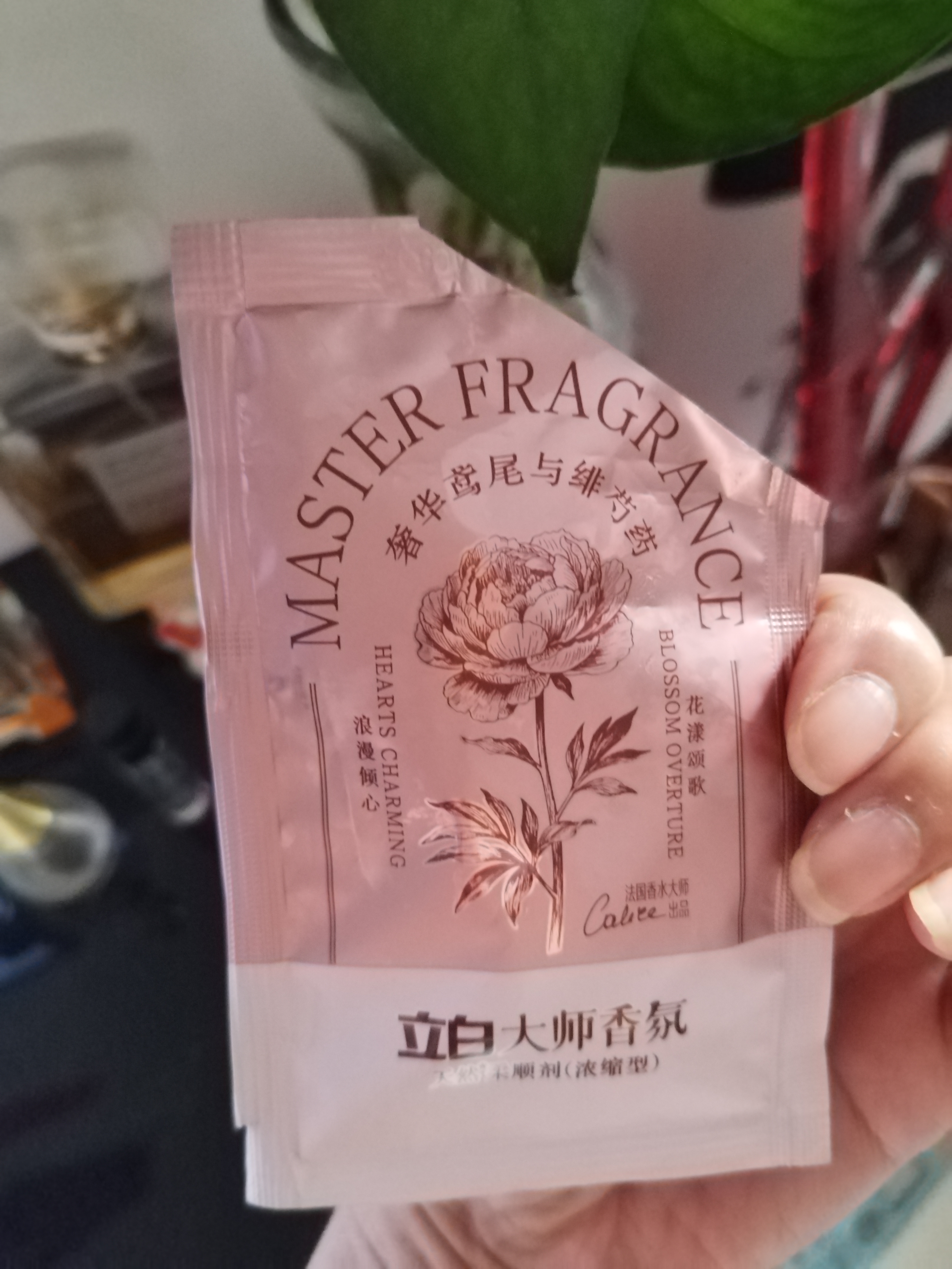 立白大师香氛天然护衣柔顺剂50g（旷野芍药与红苹果）水果缤纷系列 实拍图