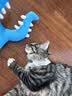 鲜朗主食猫条磷虾三文鱼油营养全价成猫幼猫湿粮无添加非零食补水湿粮 鸡肉味【12g/支】 12支【尝鲜装】 实拍图