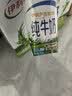 伊利纯牛奶200ml*12盒 利乐钻包 3.2g优质乳蛋白 礼盒装 实拍图