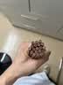 双枪红檀木筷子天然抗菌木筷 家用实木无漆无蜡筷子餐具套装10双 实拍图