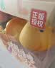 盟石（cute stone）水豚噜噜拍拍小夜灯送女生女朋友送闺蜜高档实用女孩生日礼物 实拍图